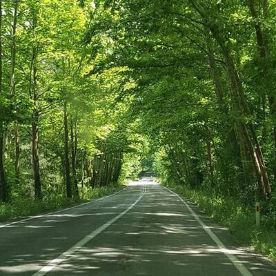 Fotoğraf çekmek isterken canından oldu