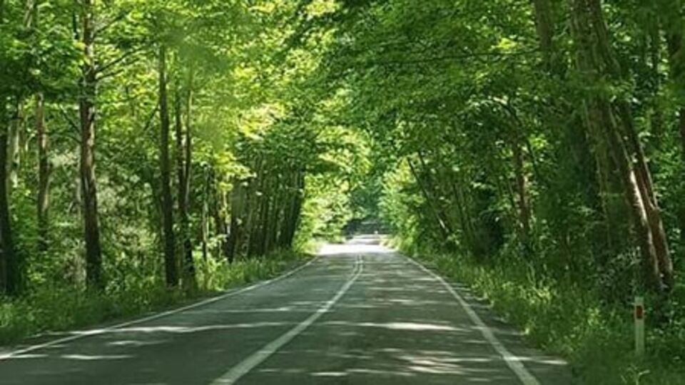 Fotoğraf çekmek isterken canından oldu