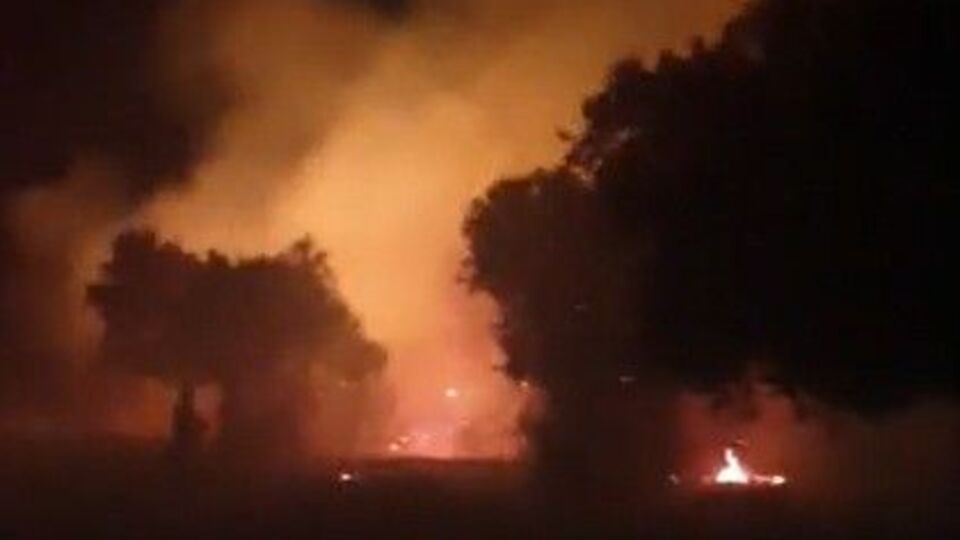 Tarım alanında korkutan yangın