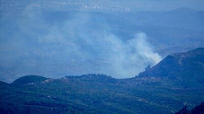 Bir orman yangını daha