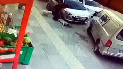 Köpeğe vicdansız tekme!