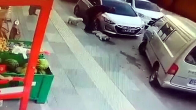 Köpeğe vicdansız tekme!