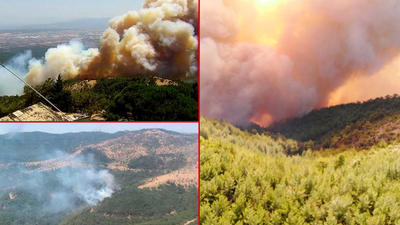 İzmir ve Muğla'da korkutan yangınlar!
