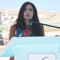 Bedia Özgökçe Ertan kimdir?