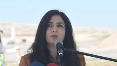 Bedia Özgökçe Ertan kimdir?