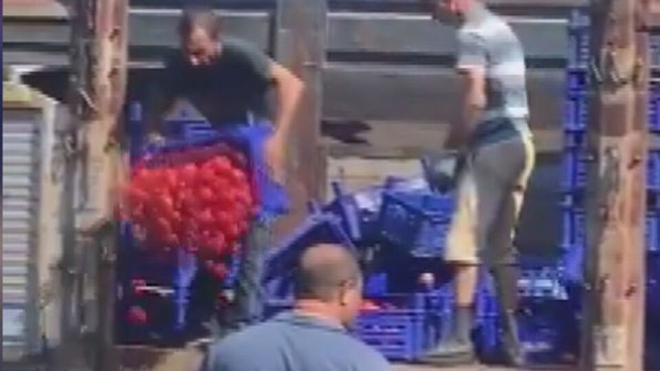 Tonlarca domatesi çöpe atan iş yeri sahibi: 20-30 kasa döktük