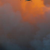 Orman yangınlarında yönetim kargaşası var