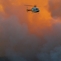 Orman yangınlarında yönetim kargaşası var