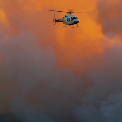 Orman yangınlarında yönetim kargaşası var