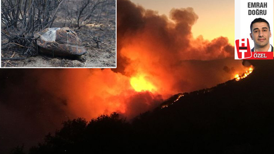 Bir ayın ve 2019'un yakan bilançosu!