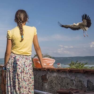 Beyzanur'la 6 leyleğin müthiş dostluğu