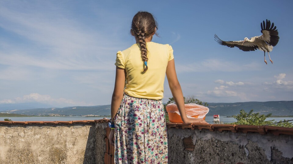 Beyzanur'la 6 leyleğin müthiş dostluğu