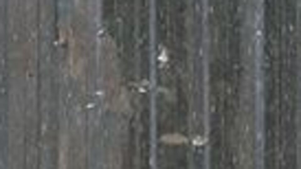 Ankaralılar dikkat! Meteoroloji'den uyarı