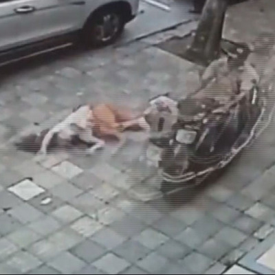 Boşanma duruşması öncesi karısına motorla çarpıp, palayla saldırdı
