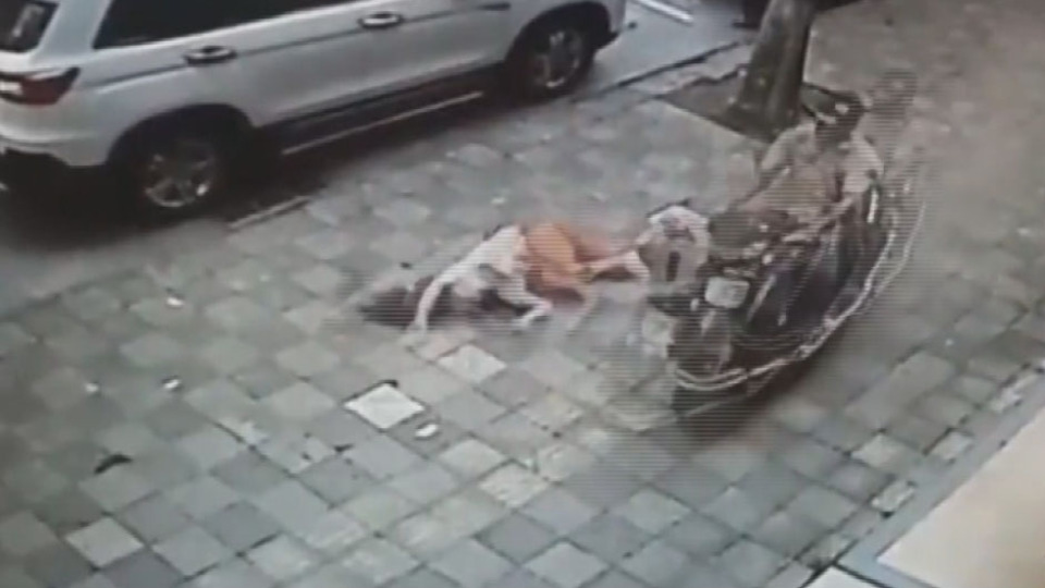 Boşanma duruşması öncesi karısına motorla çarpıp, palayla saldırdı