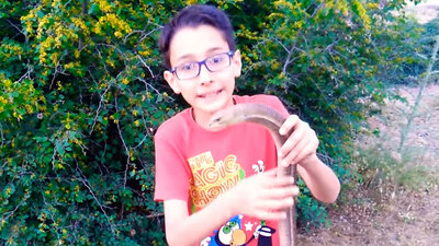 Hayvan videoları çekerek bir günde fenomen oldu!