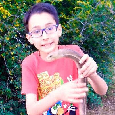 Hayvan videoları çekerek bir günde fenomen oldu!