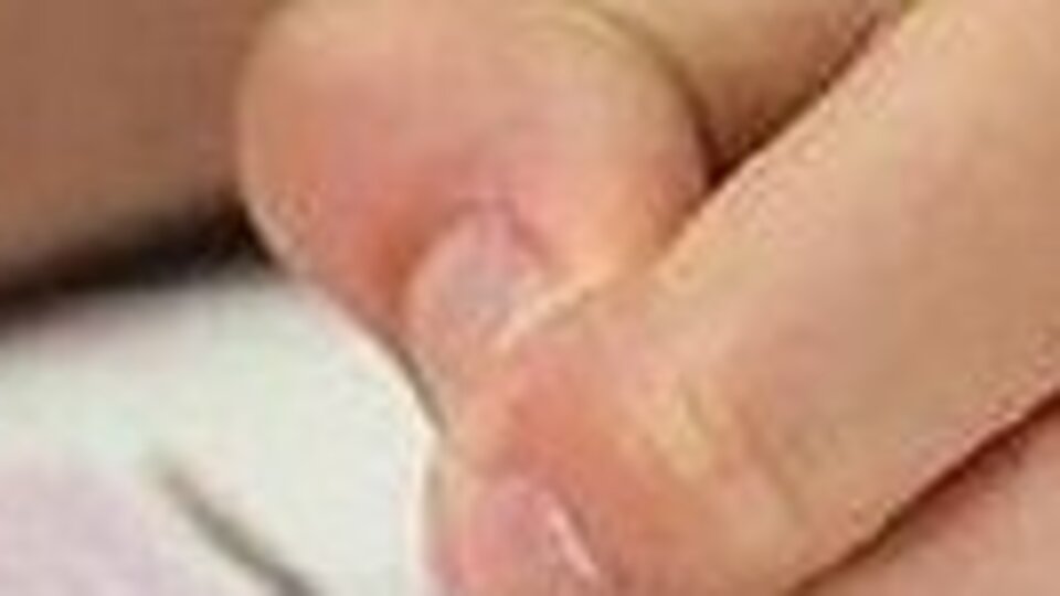 AÖL kayıt yenileme işlemleri başladı!