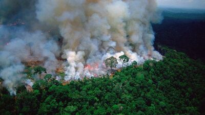 Amazon yangınları uzaydan görüntülendi!
