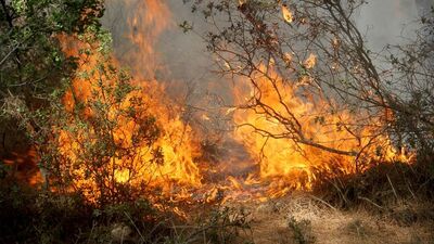 Fethiye'de korkutan yangın!