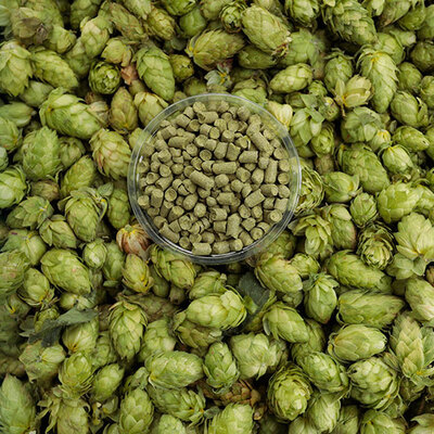 'Verimlilikte Almanya'ya yaklaştık'