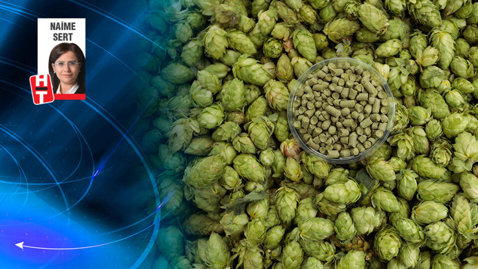 'Verimlilikte Almanya'ya yaklaştık'