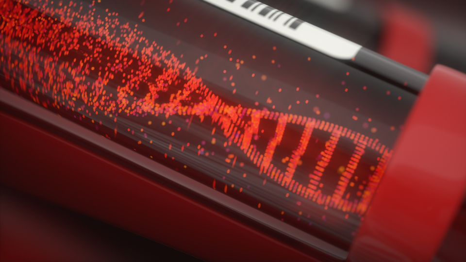 Türkiye'de 1.8 milyon kişi için "B" ne ifade ediyor?