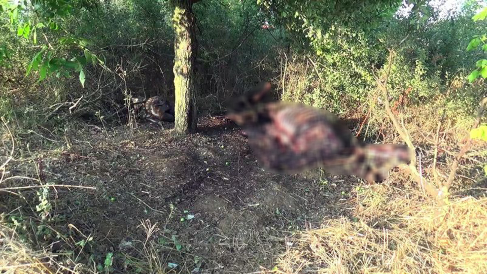 Vahşet! Kafasını keserek katlettiler