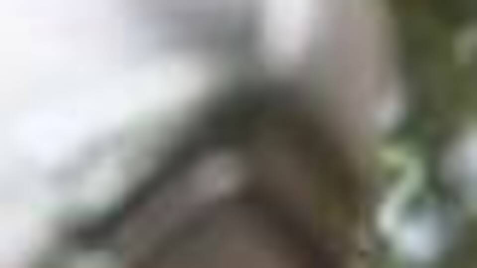 Şırnak'ta 4 terörist teslim oldu