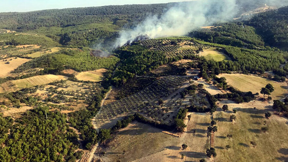Bergama'da korkutan yangın