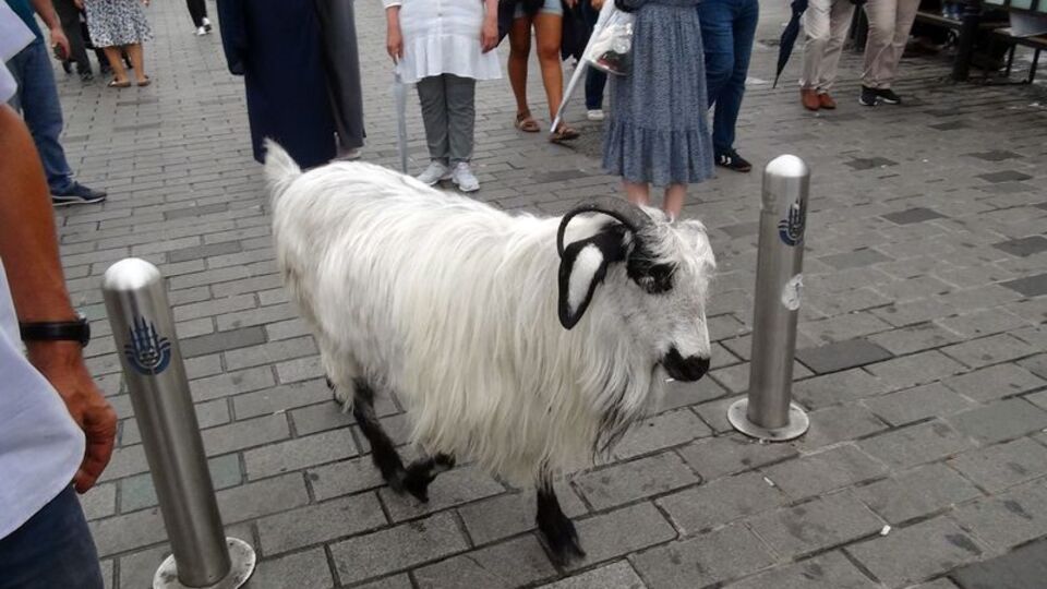 Yer Taksim... Gören bir daha baktı!