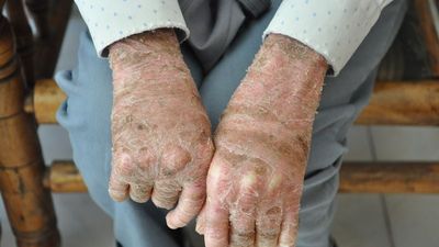 Bakan müjdeyi verdi! Eylül ayında piyasada