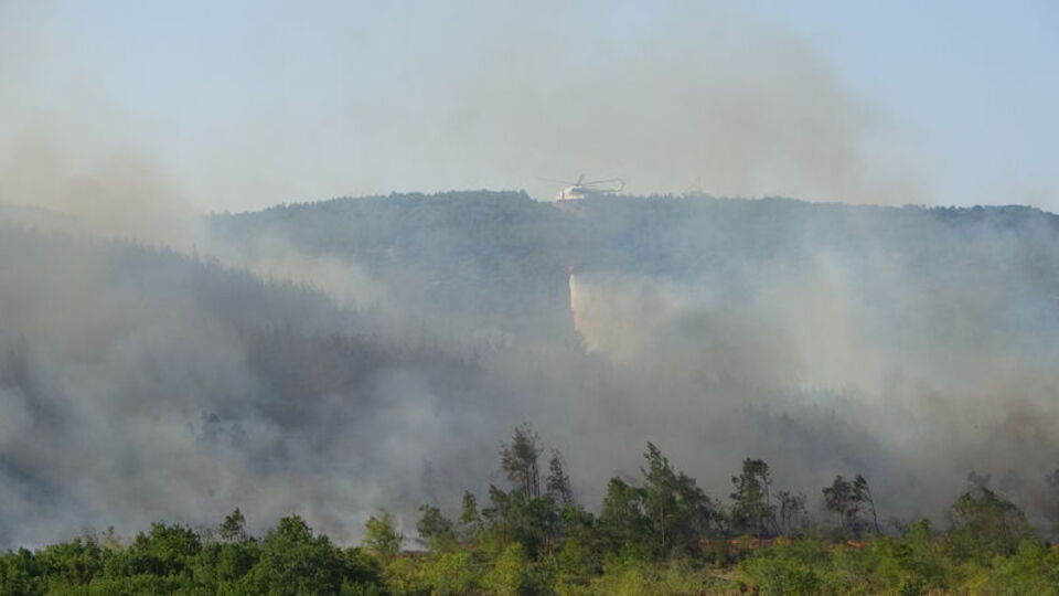 Keşan'daki orman yangını kontrol altına alındı