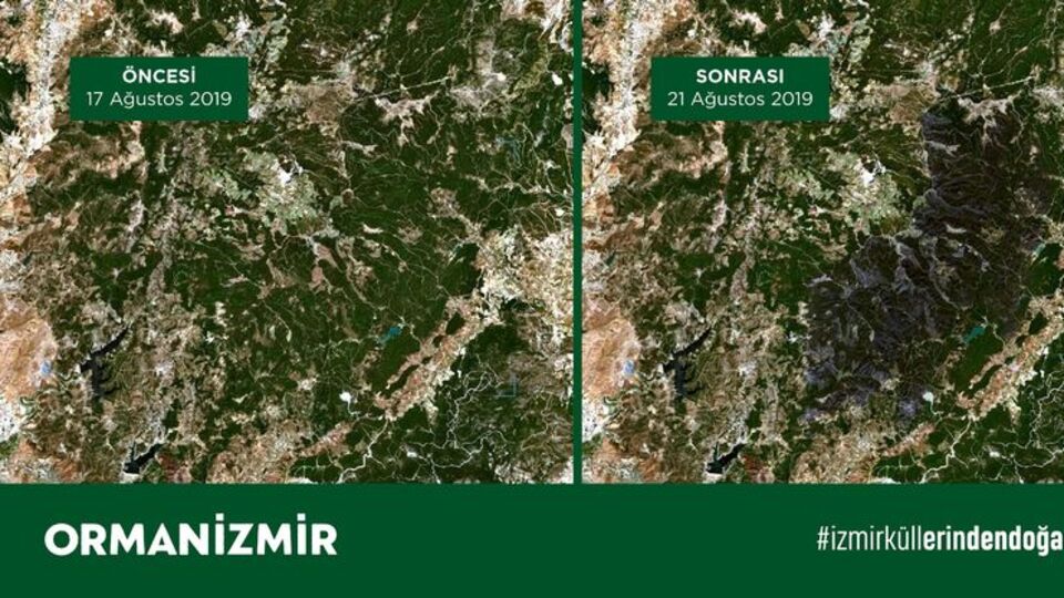 Karşıyaka ilçesi kadar alan kül oldu