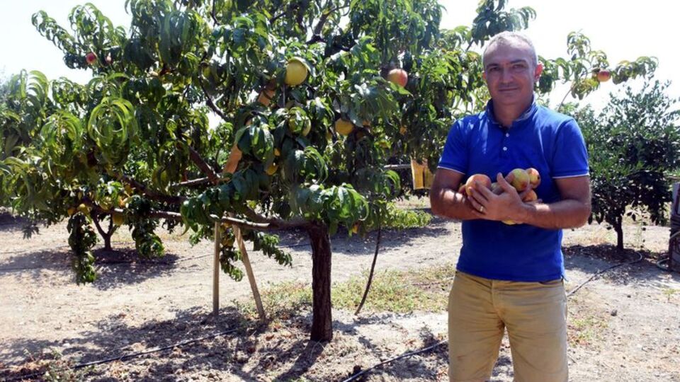 Fazlasını bedava dağıttı, borçlu çıktı!