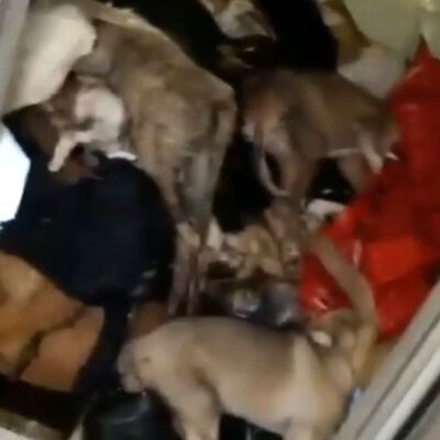 Şimdi de morg görüntüleri dehşete düşürdü!