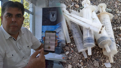 Korkunç iddia! 300 köpek kayboldu