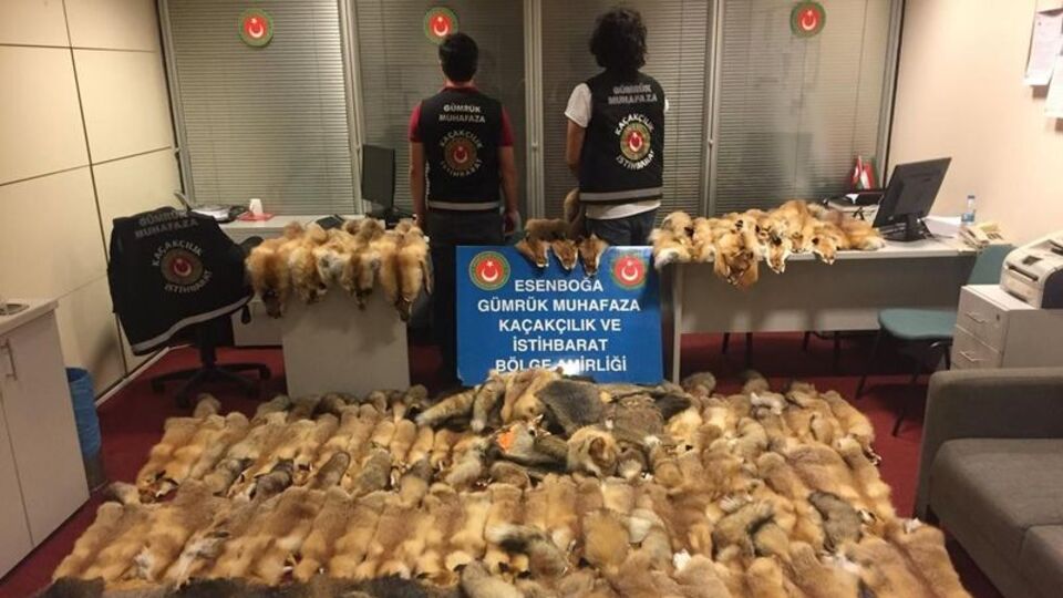 Esenboğa Havalimanı'nda ele geçirildi! Değeri 350 bin lira