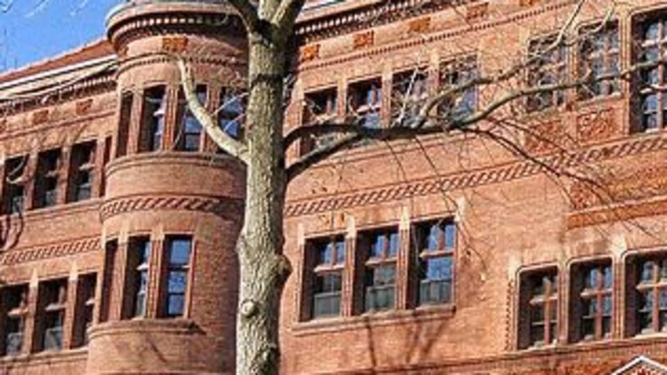 Harvard Üniversitesini kazanan Filistinli öğrenci sınır dışı edildi