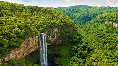 Amazon ormanları nerede? Amazonlar neden önemli?