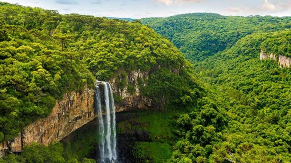 Amazon ormanları nerede? Amazonlar neden önemli?