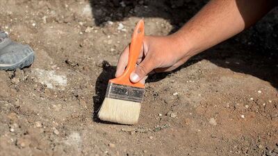 Tek parça halinde ve 7.5 milyon yıllık!