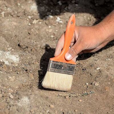 Tek parça halinde ve 7.5 milyon yıllık!