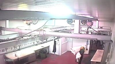 "Etine dolgun" soygun!