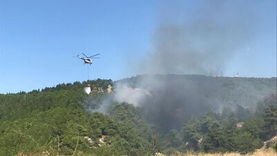 Çanakkale'de orman yangını