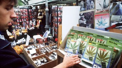 Hollanda'da 10 kentte 'sağlıklı yasal esrar üretimi' yapılacak