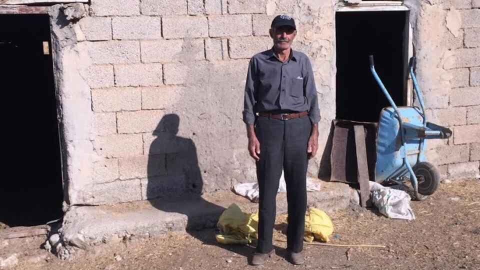 Tek geçim kaynağı olan ineklerini çaldılar