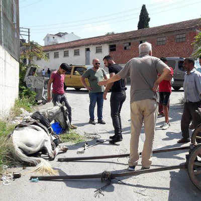 Yaralarını görenler gözyaşı döktü!