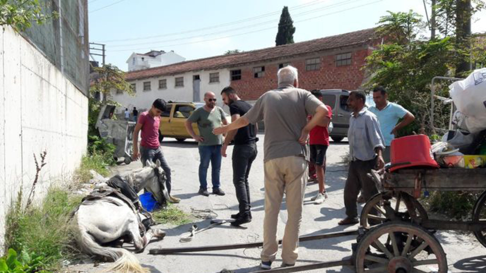 Yaralarını görenler gözyaşı döktü!