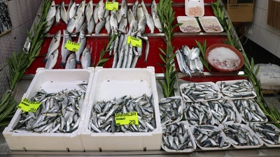 140 günlük hasret sona eriyor